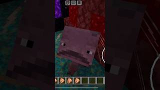 I TOOK STRIDER TO MY HOME minecraftshorts minecraft [upl. by Vharat]