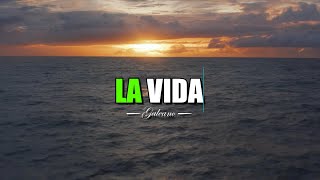 La Vida ¿Que Es La Vida ¦ Gratitud Frases Reflexiones Agradecimiento Reflexión [upl. by Byrom]