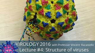 Virology Lectures 2016 4 Structure of viruses [upl. by Llenrod]