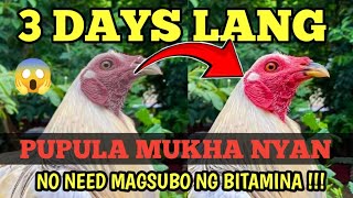 Paano papulahin ang mukha ng Manok  No need ng Bitamina  Peejay Vergara [upl. by Nytnerb]