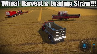 Fox Farms Solo Episode 1 Wheat Harvested amp Sold amp Loading Straw FS22 PS5 [upl. by Kathlin542]