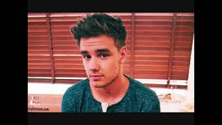 Flora Bama Liam Payne Video [upl. by Enyale277]