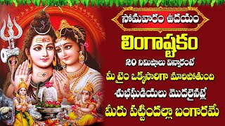 Live  LINGASHTAKAM  LORD SHIVA POPULAR STOTRAS  LORD SHIVA SONGS  Vahini Daily [upl. by Lundell]