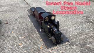 5quot Gauge Sweet Pea Model Steam Locomotive cw Boiler Test Certificates blackdogmachinery3719 [upl. by Ag]