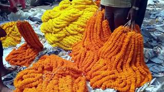 Mullick Ghat Flower Market in Kolkata 2019  Howrah Mullick Ghat Flower Market 2019  Flower Market [upl. by Piscatelli]