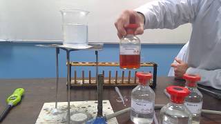 Testing Alcohols by Oxidation [upl. by Odnolor]