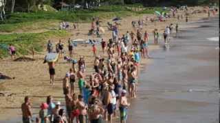 Shark sighting Kamaole Beach II Kihei Maui 1302014 longer verison [upl. by Marlon]