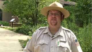 Indiana Dunes State Park  Indiana DNR [upl. by Vanna]