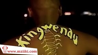 Kingwendu  Mapepe  Official Video [upl. by Aylatan]