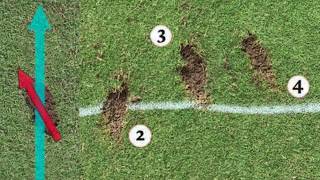 Cheat Sheet Analyze Your Divots to Fix Your Swing [upl. by Russia162]