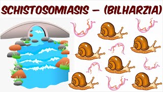 Schistosomiasis – Bilharzia [upl. by Erdnaek339]