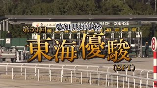 【第54回 東海優駿 SPⅠ】 2024 529 名古屋競馬場 優勝馬フークピグマリオン号 [upl. by Anawat]