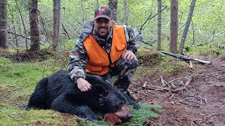 chasse ours 2022  bear hunt brian laflamme pro staff La Ferme Monette [upl. by Eli52]