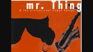 Mr THiNg amp The Professional Human Beings  In New York [upl. by Marih]