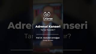 Adrenal Kanser Tanısı Nasıl Yapılır  Prof Dr Abdullah Armağan [upl. by Maritsa]