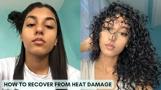 HOW TO GET YOUR CURLS BACK  Ultimate Heat Damage Repair Guide [upl. by Hpsoj913]