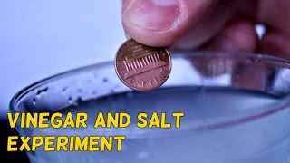 Vinegar and Salt Experiment [upl. by Giustino]