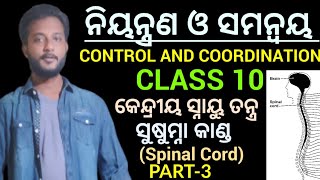 ନିୟନ୍ତ୍ରଣ ଓ ସମନ୍ଵୟ CONTROL amp COORDINATION Class 10 biology chapter5 in odia  ସୁଷୁମ୍ନା କାଣ୍ଡ [upl. by Devona]