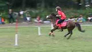 ponygames 20072008 [upl. by Oirromed]