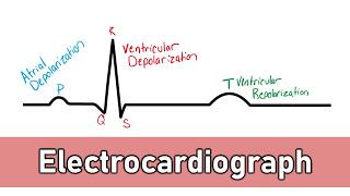 ECG Basics [upl. by Resee]