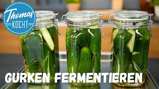 Fermentierte Gurken  super lecker und gesund [upl. by Naoh]