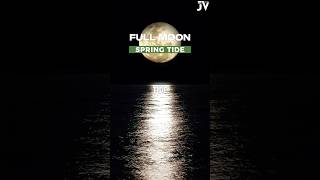 Full Moon Spring Tide FullMoon SpringTide RipTides JuelzVisuelz JuelzT [upl. by Euqininod]