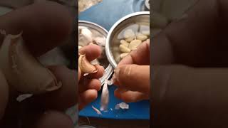 Peeling garlic farming [upl. by Severn]