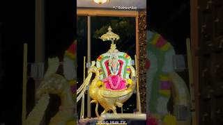 Lord Murugan Devotional Song  Tamil Devotional Songs Hindu Devotional Hits  Lord ShanmuganSongs [upl. by Thorvald]