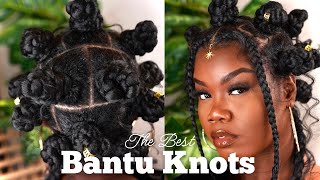 Bantu Knots Protective Style On Natural Hair  Janet Collection Braiding Hair [upl. by Ardin]