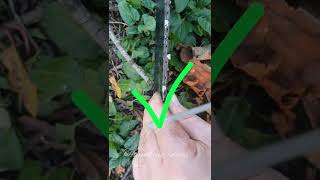 Chainsaw chain sharpening tips [upl. by Nolham]