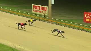 Rockhampton23102024Race7 [upl. by Onaicul]