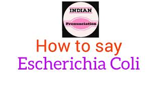 Pronounce Escherichia Coli  How to Pronounce Escherichia Coli [upl. by Kutzenco978]