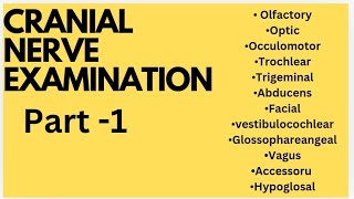 Cranial Nerve Examination [upl. by Berkeley927]