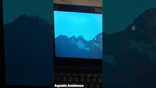 Arch Linux on Chromebook linux archlinux google chromebook chrome hyprland computer distro [upl. by Nelleh]