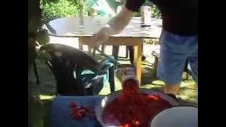 How to make Lutenitsa  Summer in Bulgaria 2011 [upl. by Moshe]