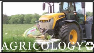 Mowing sainfoin for silage [upl. by Eceertal]