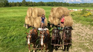 MY DAUGHTERS HELP WITH HAULING BALES  Farming With Draft Horses [upl. by Jensen]