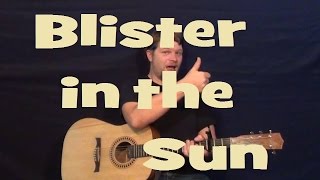 Blister in the Sun Violent Femmes Easy Strum Guitar Chords Lick How to Play Lesson [upl. by Gauthier]