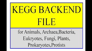 KEGG BACK END file backend file [upl. by Annahvas226]