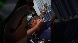 napuru wenna epa kiyala  නපුරු වෙන්න එපා කියල  chamara weerasinghe  short mandolin cover [upl. by Shirk]