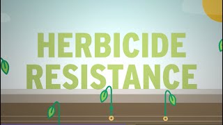 What is Herbicide Resistance [upl. by Rhpotsirhc]