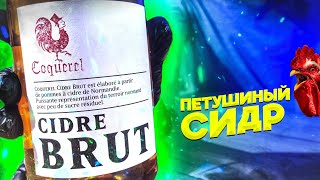 Обзор сидра COQUEREL CIDRE BRUT [upl. by Minnaminnie701]