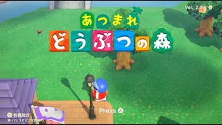 【あつ森】日朝は森！【Animal Crossing New Horizons】20240929877 [upl. by Yann]