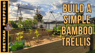 How To Build A Simple Bamboo Trellis [upl. by Audrye]