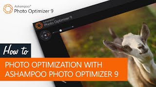 Ashampoo Photo Optimizer 9  Photo optimization [upl. by Valerie]