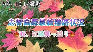 【志賀高原熊の湯スキー場】20211012澗満滝から熊の湯まで／紅葉シーズン熊の湯スキー場1113オープン予定 [upl. by Ecirtahs189]