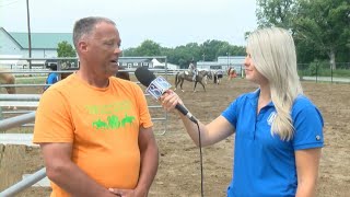 Horse and Pony Western Show at Tippecanoe County Fair [upl. by James]