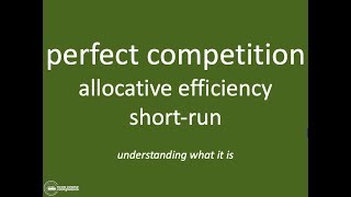 Allocative Efficiency in Perfect Competition  IB Theory of the Firm  Market Power [upl. by Yrreiht]