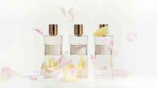 AERIN Rose Colognes  Estée Lauder UK [upl. by Ynahirb]