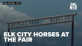 Beutler and Son Rodeo persists for Oklahoma State Fair despite recent losses [upl. by Fraase726]